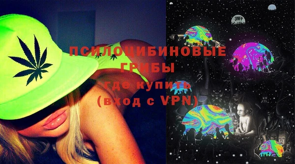 индика Богданович